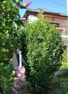 Гостиница Guest House Luchistaya 7 Рыбачье-1
