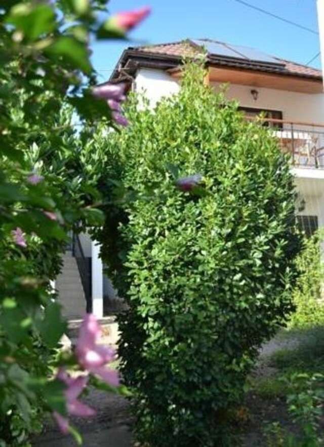 Гостиница Guest House Luchistaya 7 Рыбачье-4